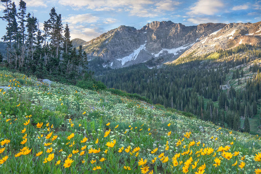 Spending Your Spring Break Vacation in Park City