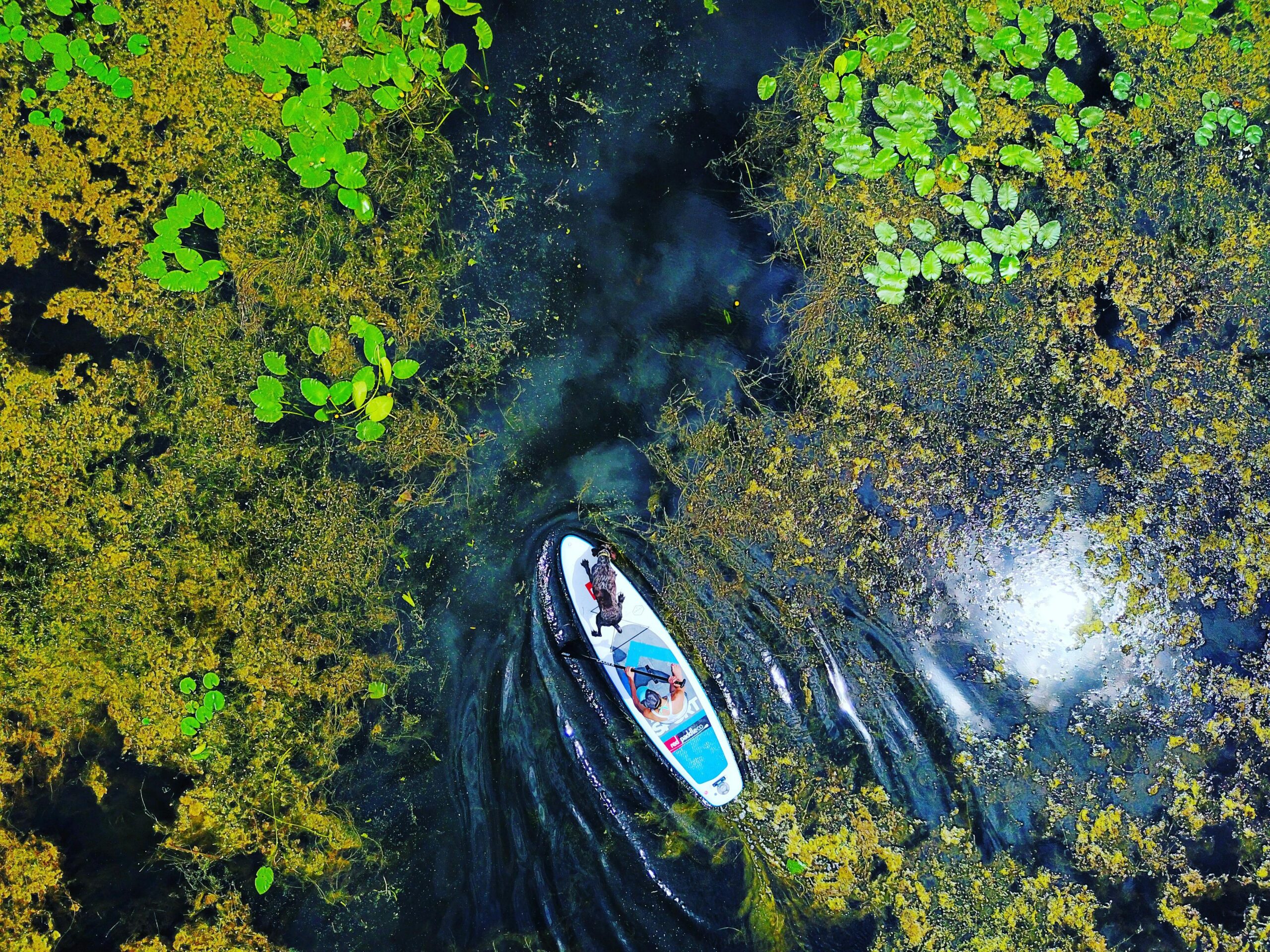 Summer Vacation in Sun Valley - Paddleboarding